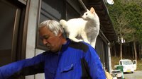 『劇場版 ナオト、いまもひとりっきり』画像