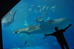 『ばななとグローブとジンベエザメ』場面3