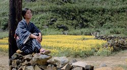 「無言の丘」画像