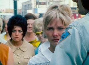 『ワンダ』画像