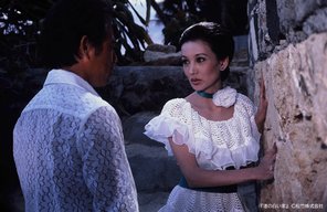 『渚の白い家』画像