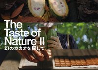 『Taste of nature II 幻のカカオを探して』画像